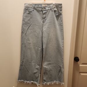 Celebrity Ace Raw Hem Wide Leg Size 18 27" Inseam